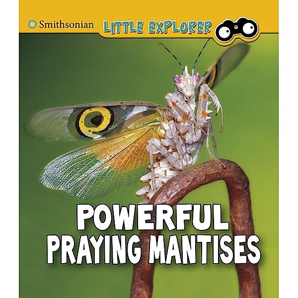 Powerful Praying Mantises, Melissa Higgins