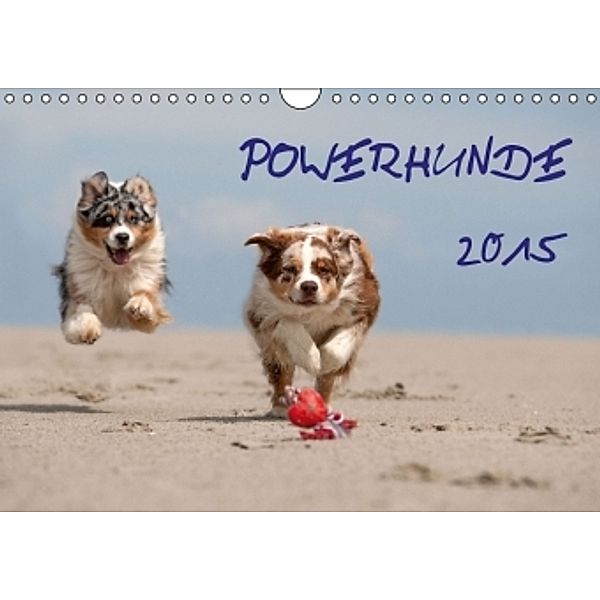 POWERHUNDE 2015 (Wandkalender 2015 DIN A4 quer), Annett Mirsberger