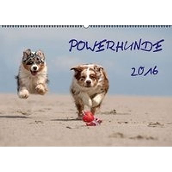 POWERHUNDE 2016 (Wandkalender 2016 DIN A2 quer), Annett Mirsberger