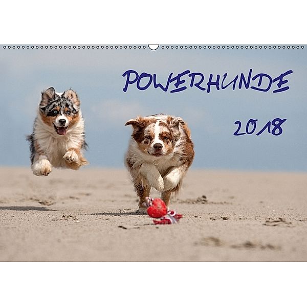 POWERHUNDE 2018 (Wandkalender 2018 DIN A2 quer), Annett Mirsberger