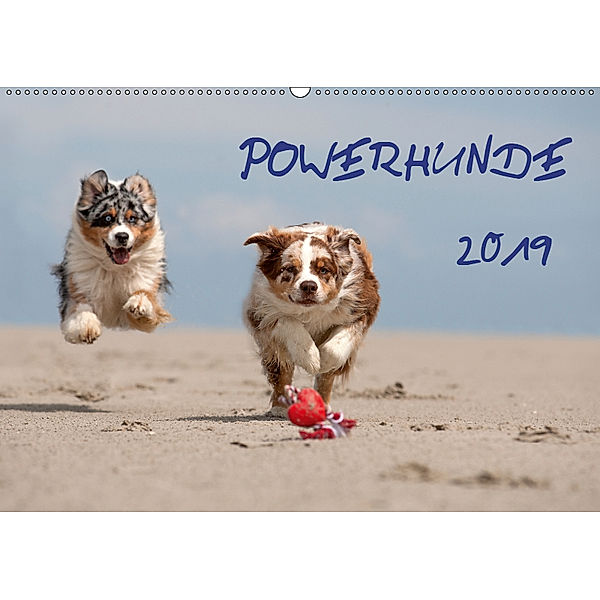 POWERHUNDE 2019 (Wandkalender 2019 DIN A2 quer), Annett Mirsberger