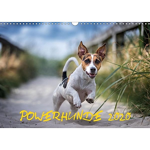 POWERHUNDE 2020 (Wandkalender 2020 DIN A3 quer), Annett Mirsberger