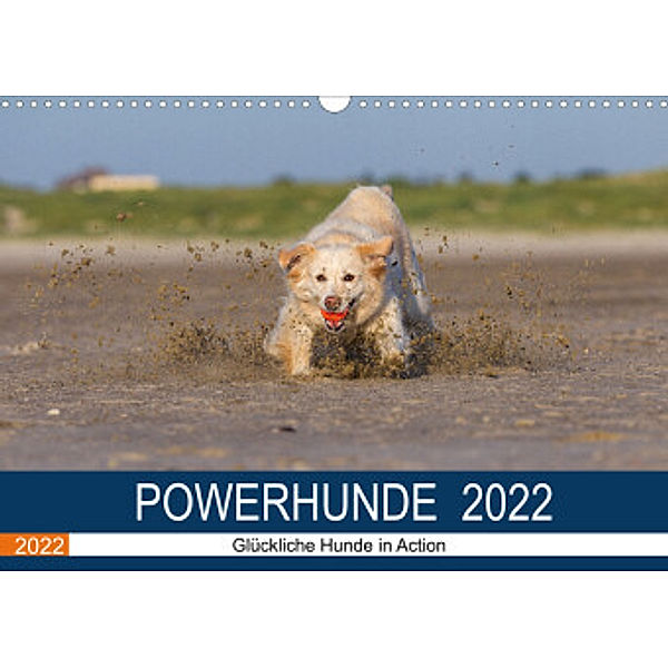 POWERHUNDE 2022 (Wandkalender 2022 DIN A3 quer), Annett Mirsberger