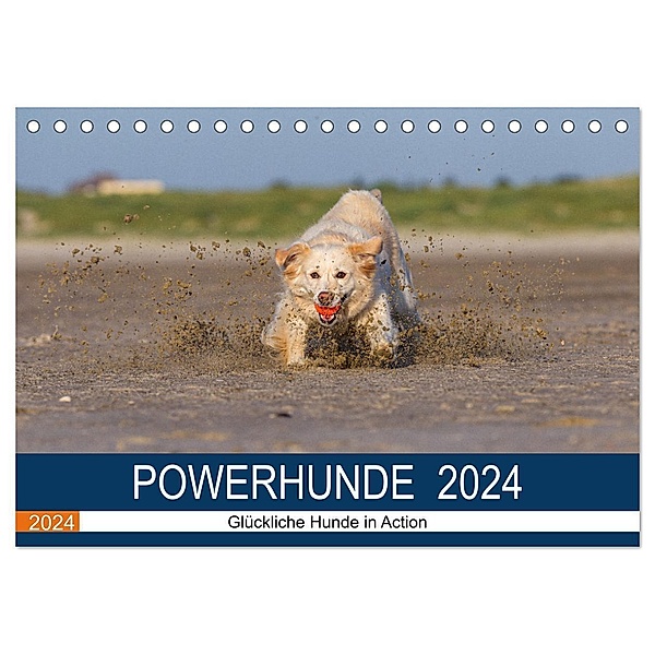 POWERHUNDE 2024 (Tischkalender 2024 DIN A5 quer), CALVENDO Monatskalender, Annett Mirsberger