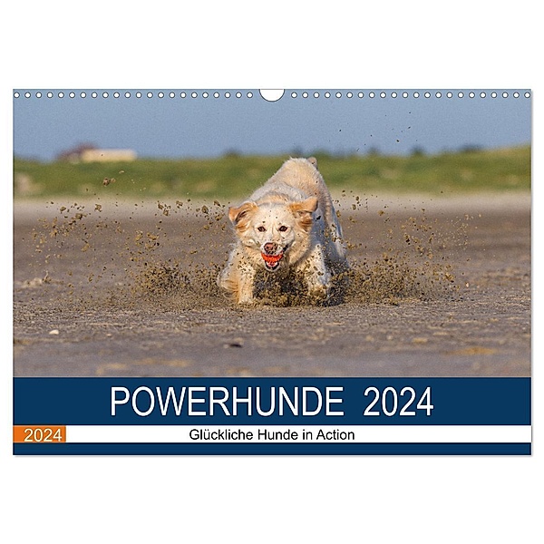 POWERHUNDE 2024 (Wandkalender 2024 DIN A3 quer), CALVENDO Monatskalender, Annett Mirsberger