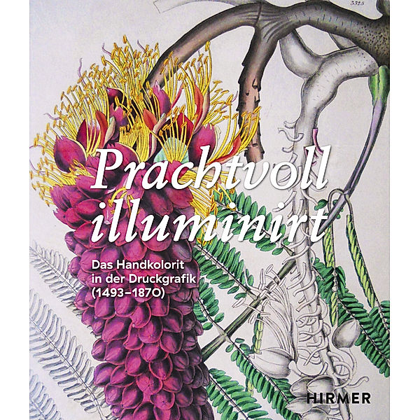 Prachtvoll illuminirt