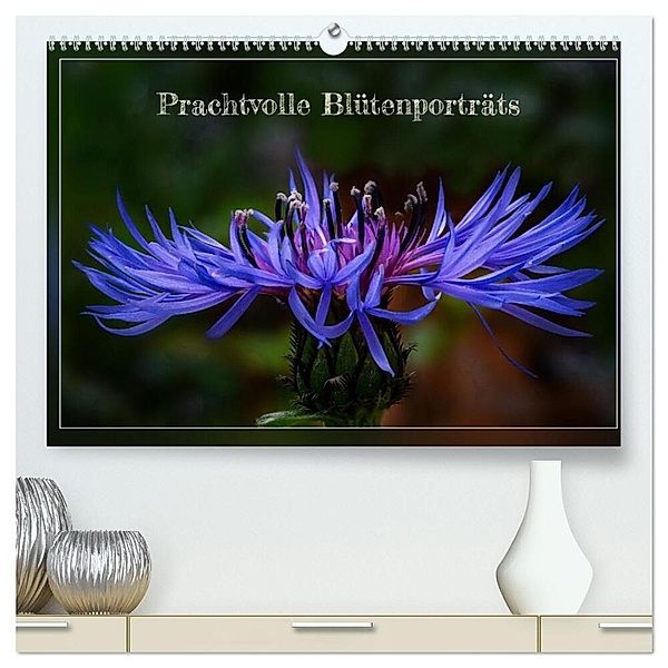 Prachtvolle Blütenporträts (hochwertiger Premium Wandkalender 2024 DIN A2 quer), Kunstdruck in Hochglanz, Angelika Beuck