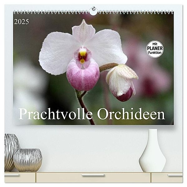 Prachtvolle Orchideen (hochwertiger Premium Wandkalender 2025 DIN A2 quer), Kunstdruck in Hochglanz, Calvendo, Schnellewelten