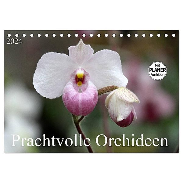 Prachtvolle Orchideen (Tischkalender 2024 DIN A5 quer), CALVENDO Monatskalender, Schnellewelten