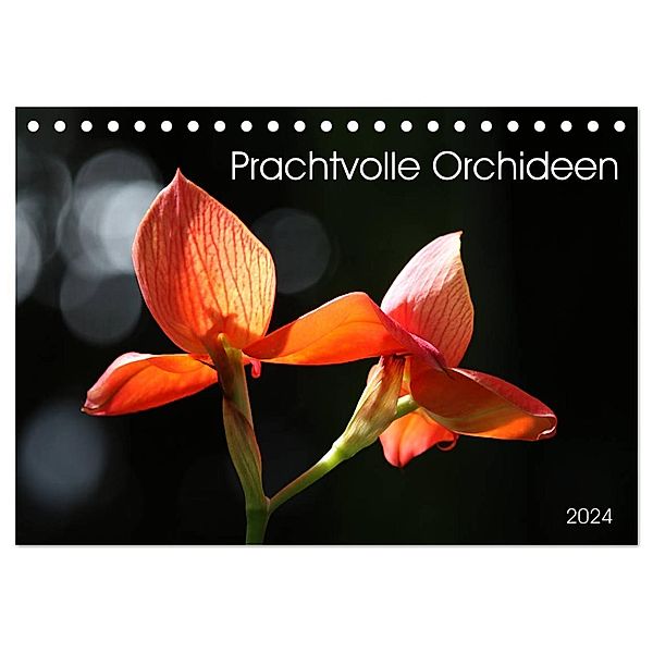 Prachtvolle Orchideen (Tischkalender 2024 DIN A5 quer), CALVENDO Monatskalender, Schnellewelten