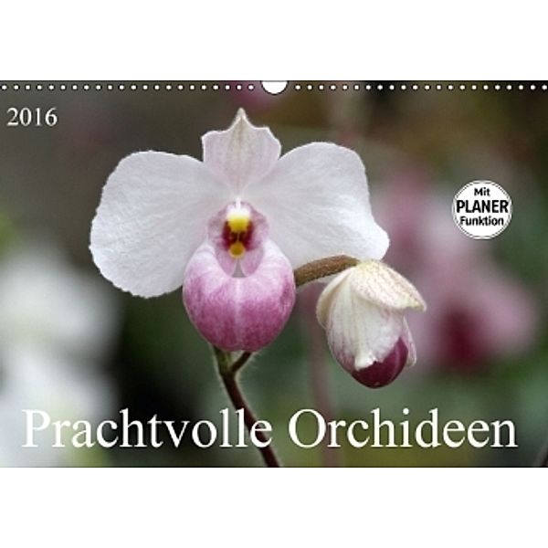 Prachtvolle Orchideen (Wandkalender 2016 DIN A3 quer), SchnelleWelten