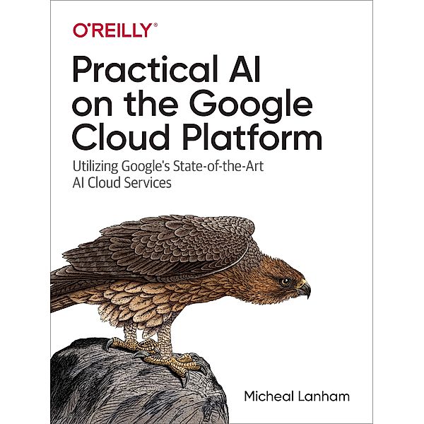 Practical AI on the Google Cloud Platform, Micheal Lanham