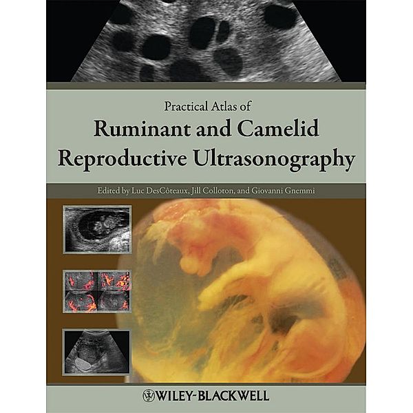 Practical Atlas of Ruminant and Camelid Reproductive Ultrasonography