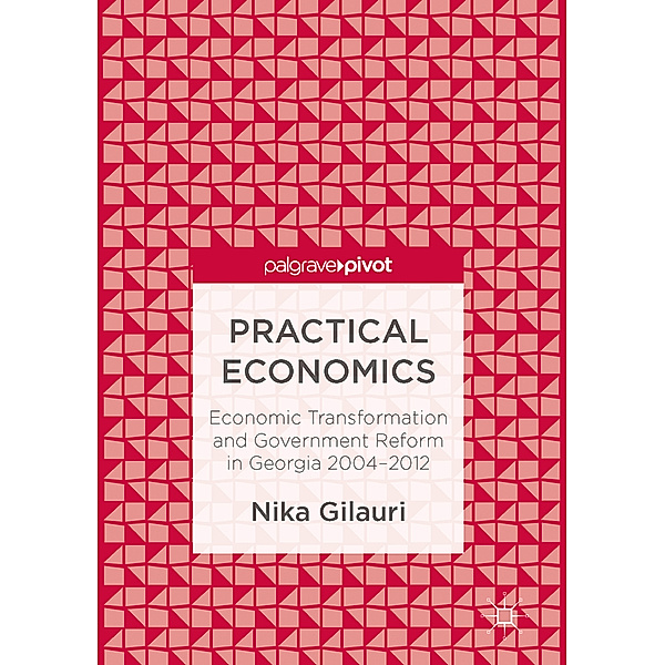 Practical Economics, Nika Gilauri