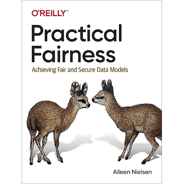 Practical Fairness, Aileen Nielsen