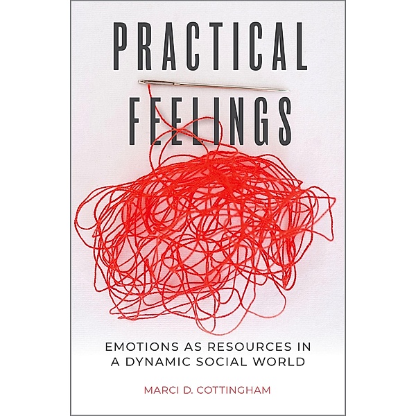 Practical Feelings, Marci D. Cottingham