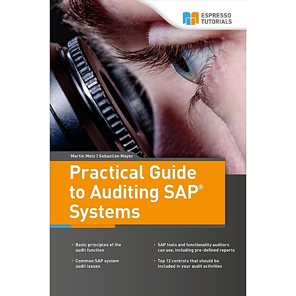 Practical Guide to Auditing SAP Systems, Martin Metz, Sebastian Mayer
