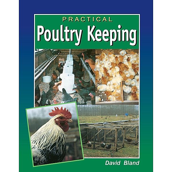 Practical Poultry Keeping, David Bland