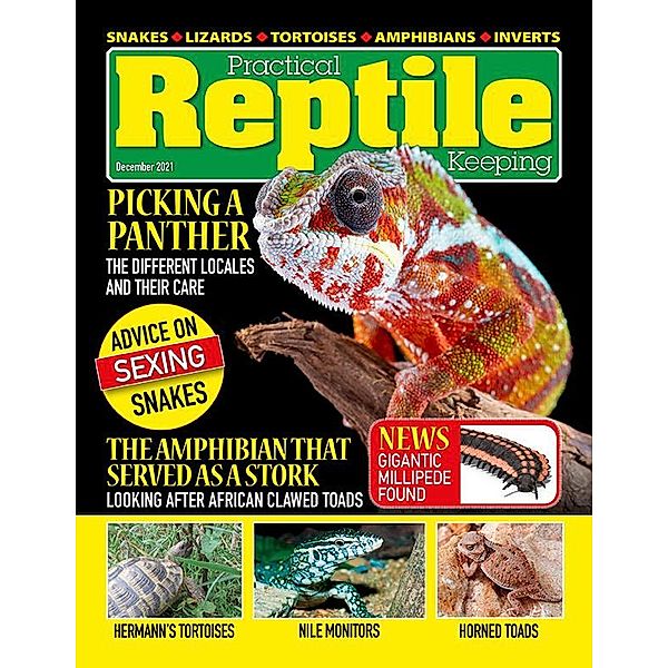 Practical Reptile Keeping - December 2021, David Alderton