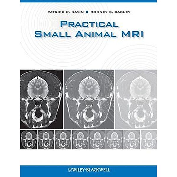 Practical Small Animal MRI