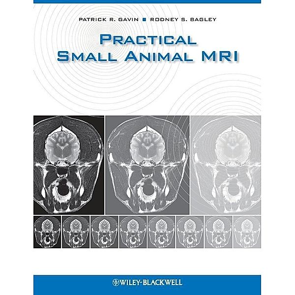 Practical Small Animal MRI