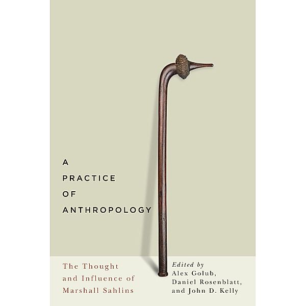 Practice of Anthropology
