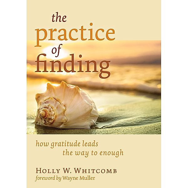 Practice of Finding / Eerdmans, Holly W. Whitcomb