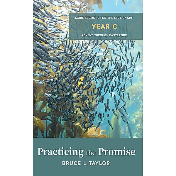 Practicing the Promise, Bruce L. Taylor