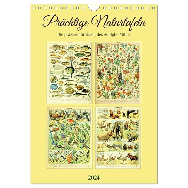 Prächtige Naturtafeln (Wandkalender 2024 DIN A4 hoch), CALVENDO Monatskalender, Steffani Lehmann