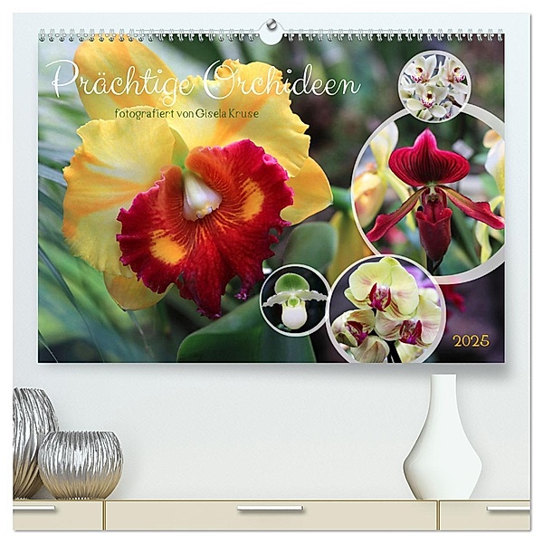 Prächtige Orchideen (hochwertiger Premium Wandkalender 2025 DIN A2 quer), Kunstdruck in Hochglanz, Calvendo, Gisela Kruse