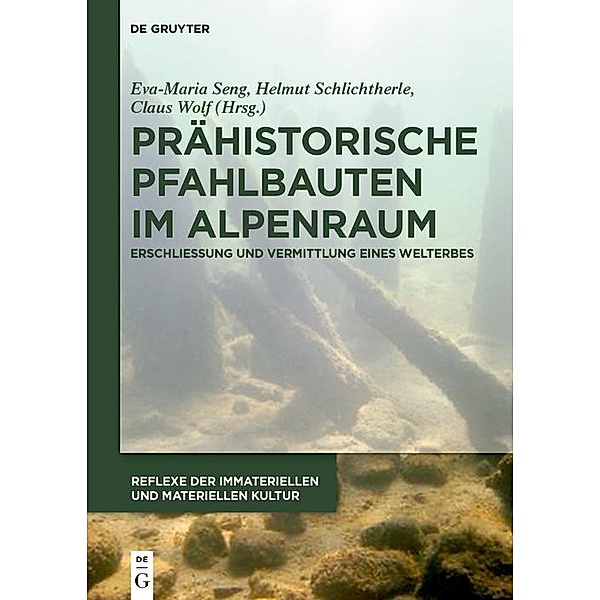 Prähistorische Pfahlbauten im Alpenraum / Reflexe der immateriellen und materiellen Kultur Bd.3
