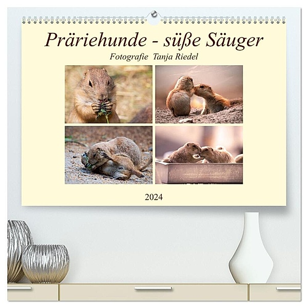 Präriehunde - süße Säuger (hochwertiger Premium Wandkalender 2024 DIN A2 quer), Kunstdruck in Hochglanz, Tanja Riedel