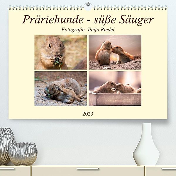 Präriehunde - süße Säuger (Premium, hochwertiger DIN A2 Wandkalender 2023, Kunstdruck in Hochglanz), Tanja Riedel