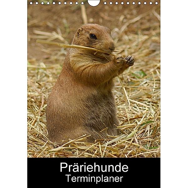 PräriehundeTerminplaner (Wandkalender 2018 DIN A4 hoch), Kattobello