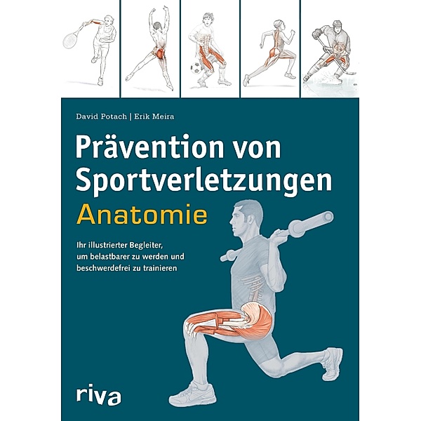 Prävention von Sportverletzungen - Anatomie, David Potach, Erik Meira