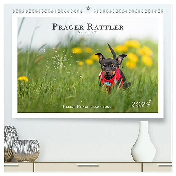 Prager Rattler - Black and Tan - Kleine Hunde ganz gross (hochwertiger Premium Wandkalender 2024 DIN A2 quer), Kunstdruck in Hochglanz, Julo - Seelenbilder