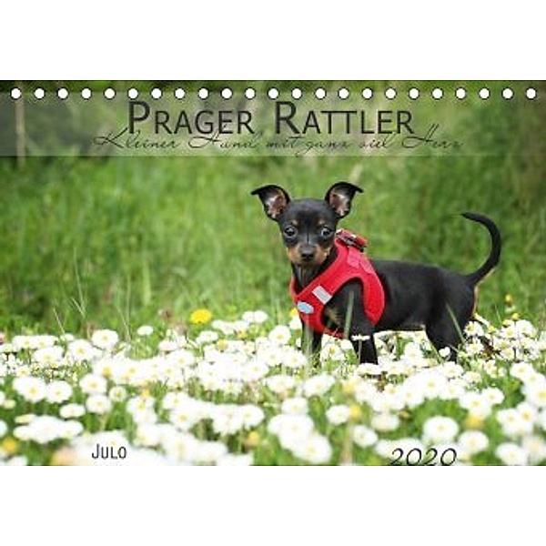 Prager Rattler (Tischkalender 2020 DIN A5 quer)