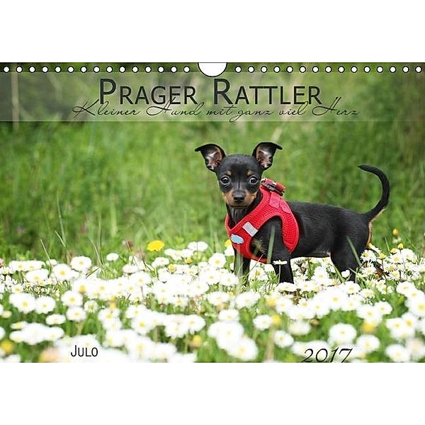 Prager Rattler (Wandkalender 2017 DIN A4 quer), Julo-Seelenbider