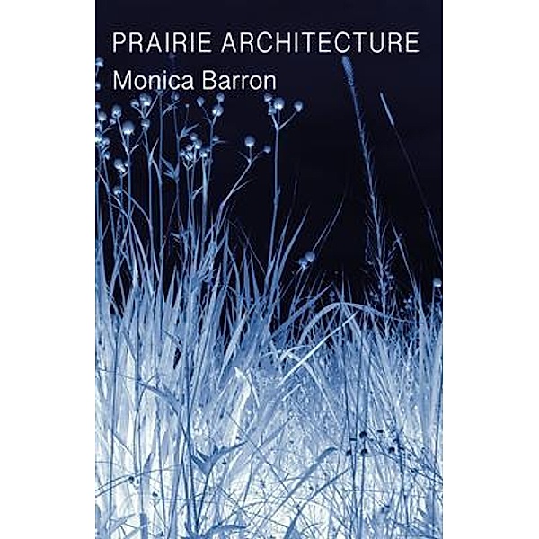 Prairie Architecture, Monica Barron