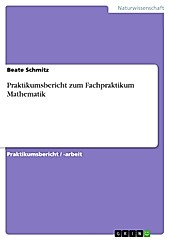 Praktikumsbericht zum Fachpraktikum Mathematik - eBook - Beate Schmitz,