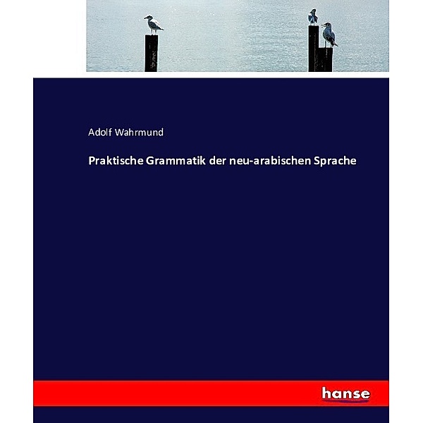 Praktische Grammatik der neu-arabischen Sprache, Adolf Wahrmund