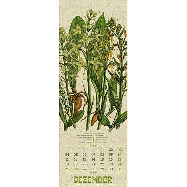 Pratt, A: Wildwuchs Botanische Illustrat. Kalender 2023 online kaufen -  Orbisana