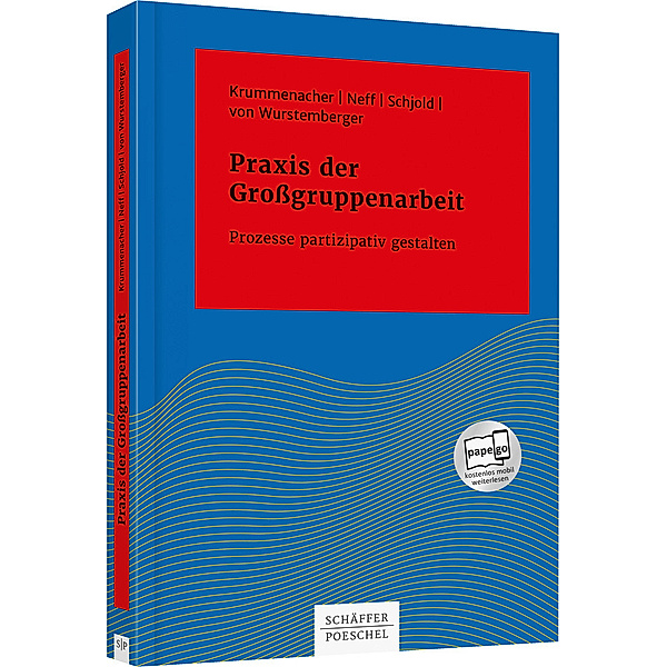 Praxis der Großgruppenarbeit, Paul Krummenacher, Petra Neff, Inger Schjold, Britta von Wurstemberger