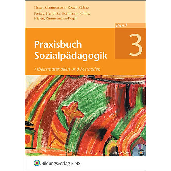 Praxisbuch Sozialpädagogik, m. CD-ROM