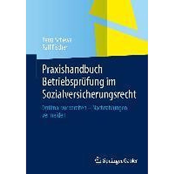 Praxishandbuch Betriebsprüfung im Sozialversicherungsrecht, Petra Schewe, Ralf Fischer