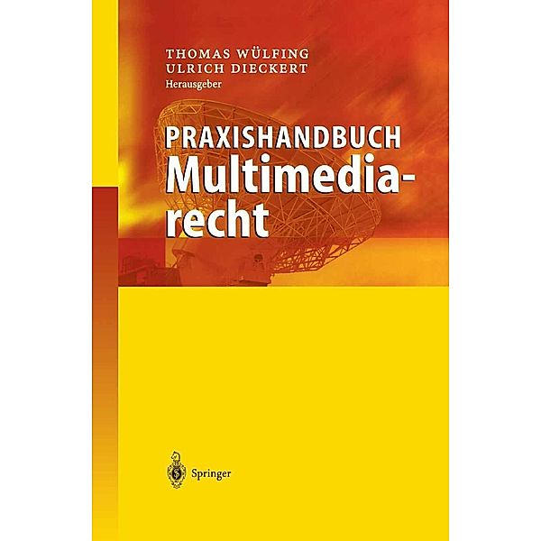 Praxishandbuch Multimediarecht