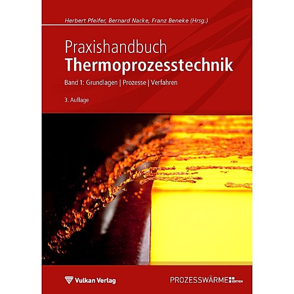 Praxishandbuch Thermoprozesstechnik