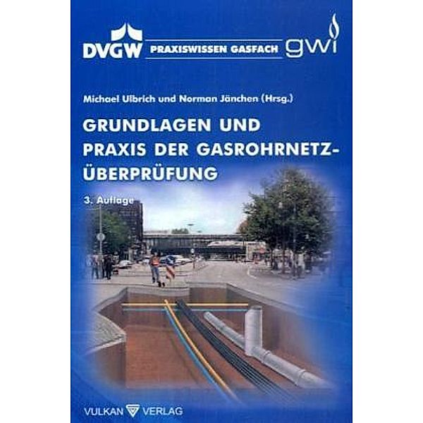 Praxiswissen Gasfach / Grundlagen und Praxis der Gasrohrnetz-Überprüfung