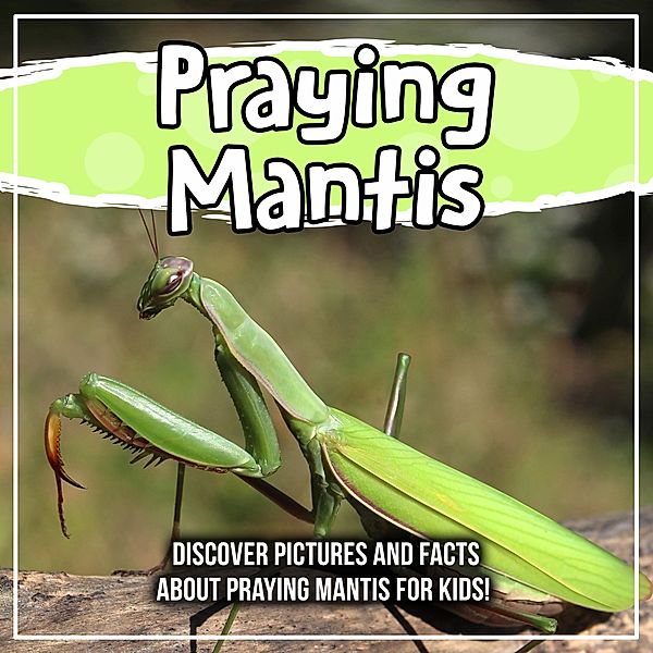 Praying Mantis: Discover Pictures and Facts About Praying Mantis For Kids! / Bold Kids, Bold Kids