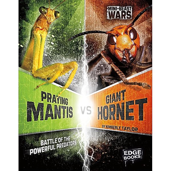 Praying Mantis vs Giant Hornet, Alicia Z. Klepeis